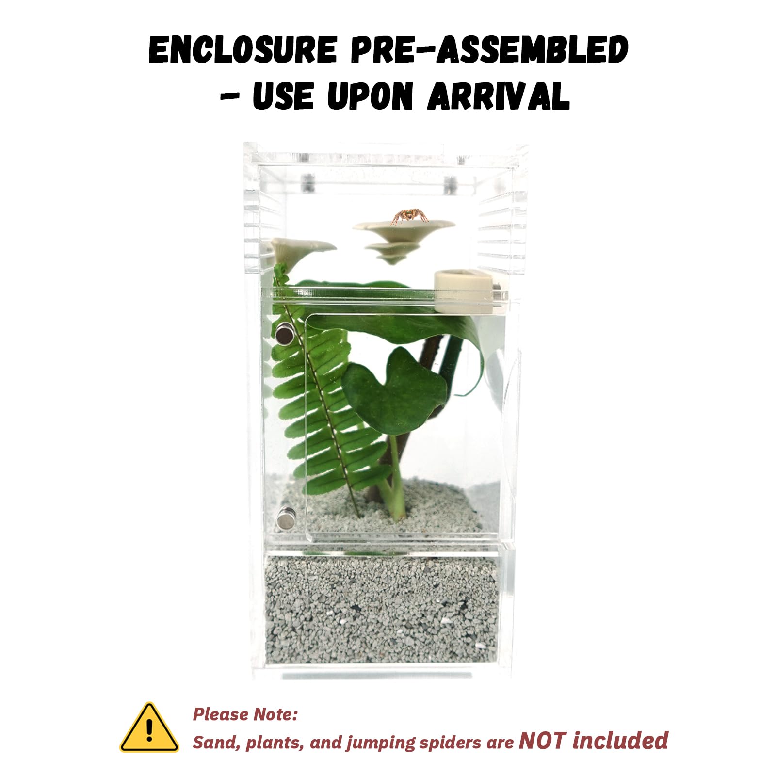 LIANMORY jumping spider enclosure ventilation holes ensure secure airflow and minimal escapes.