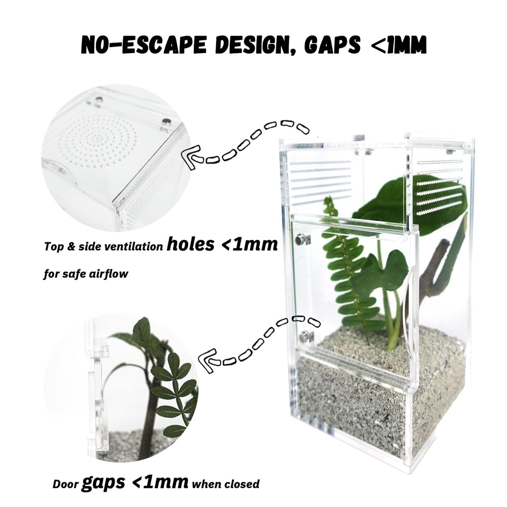 LIANMORY jumping spider enclosure water dish — integrated hydration option for tiny invertebrates.