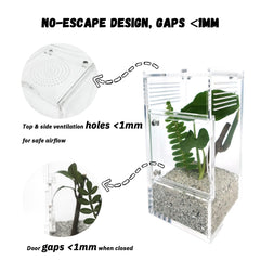 LIANMORY jumping spider enclosure water dish — integrated hydration option for tiny invertebrates.