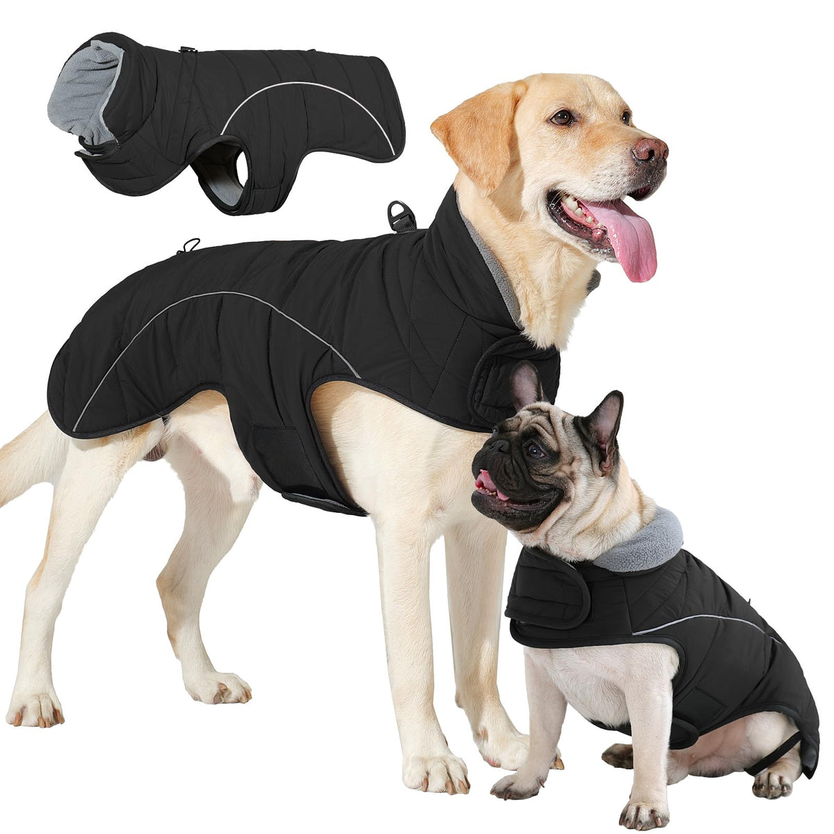 LIANZIMAU dog coat with D-ring leash attachment for easy outdoor walks
