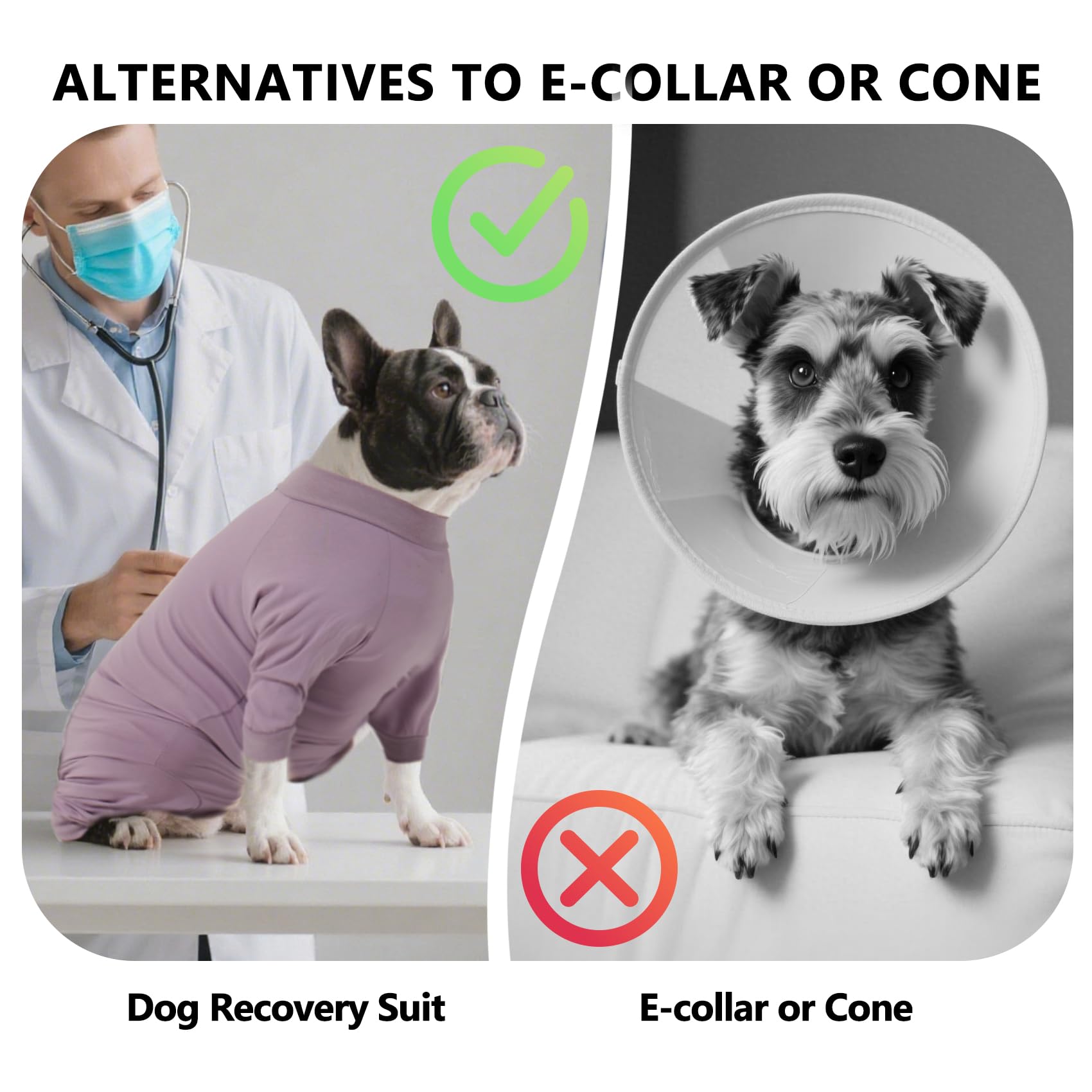 LIANZIMAU Elizabethan collar alternative supports eating and sight lines during recovery.