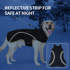 LIANZIMAU triple-layer thermal defense keeps dogs warm in wind and snow