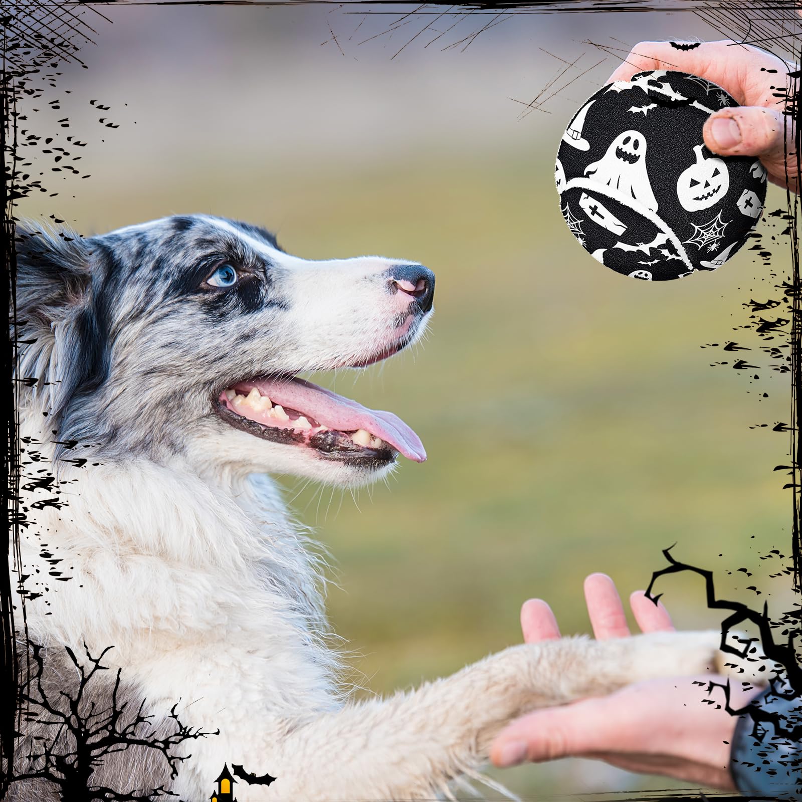 Libima durable rubber dog tennis ball closeup showing strong bounce for training.