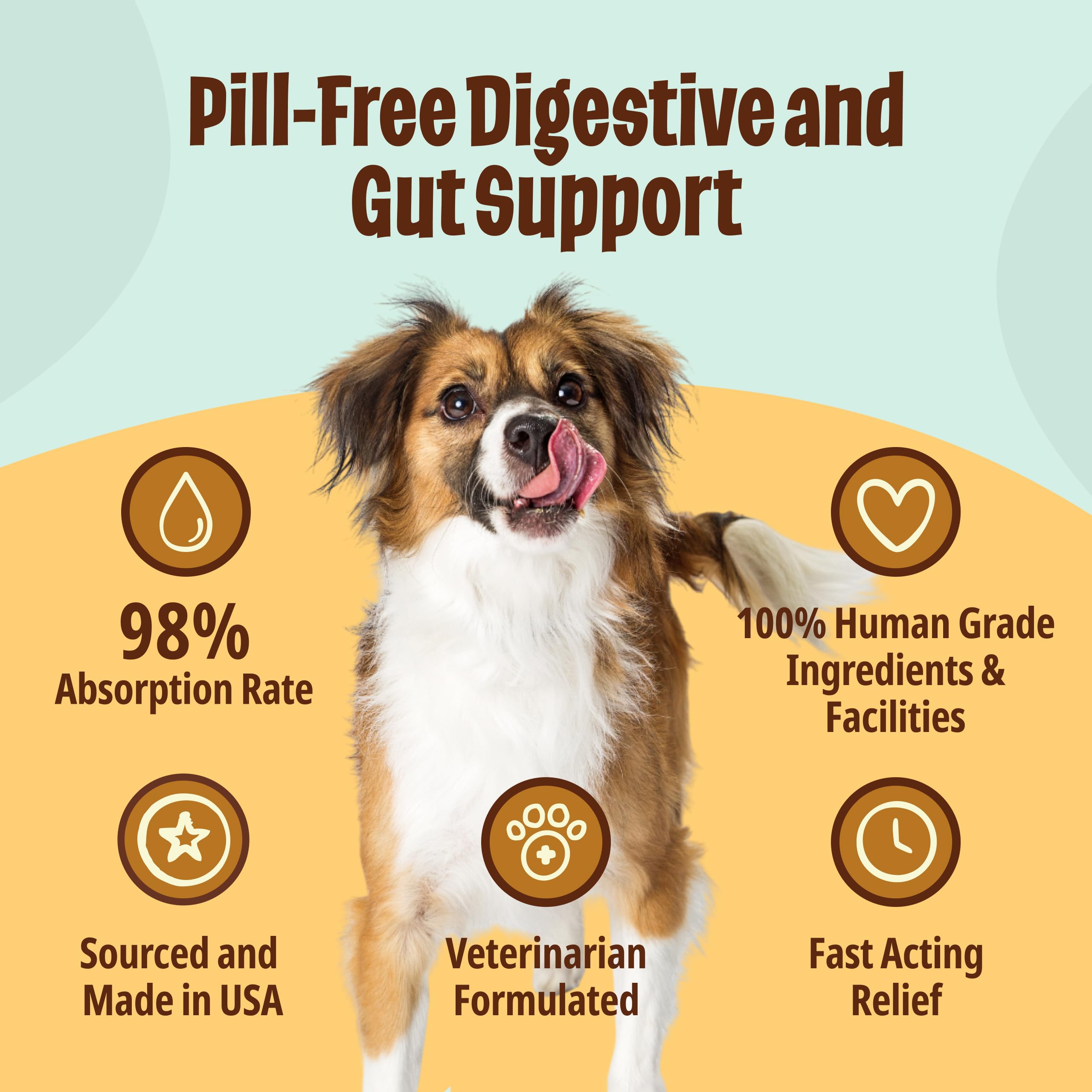 Licks Pill Free dog gel packs pack emphasizes easy-to-use gut health packaging for quick dosing