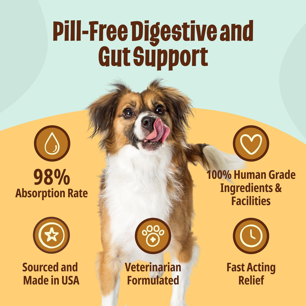 Licks Pill Free dog gel packs pack emphasizes easy-to-use gut health packaging for quick dosing
