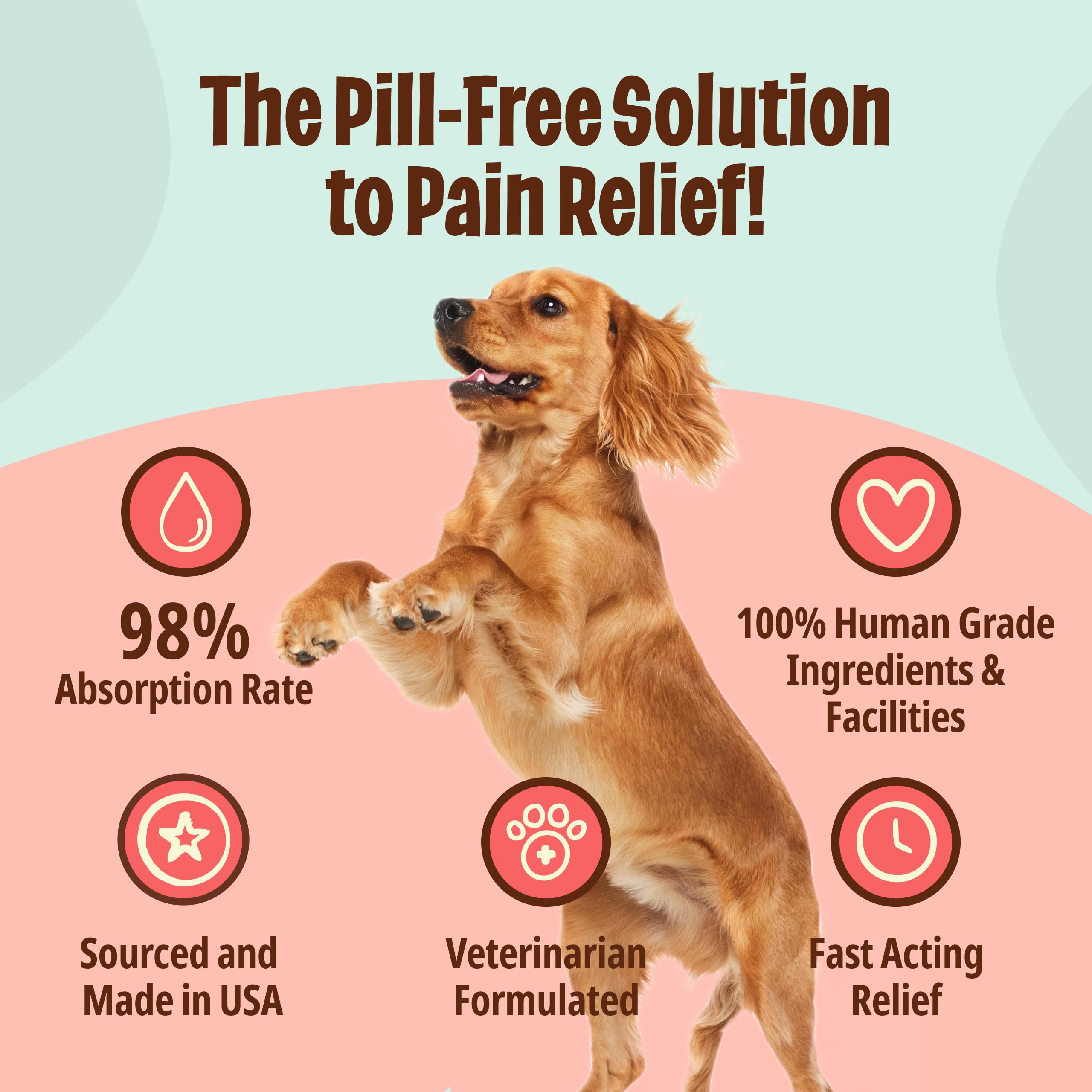 Licks Pill Free dog supplement shows higher absorption than pills for efficient delivery.