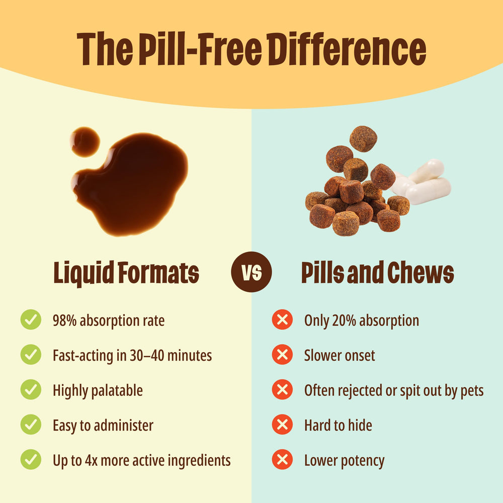 Licks Pill Free dog transition using with-food image shows smoother food changes