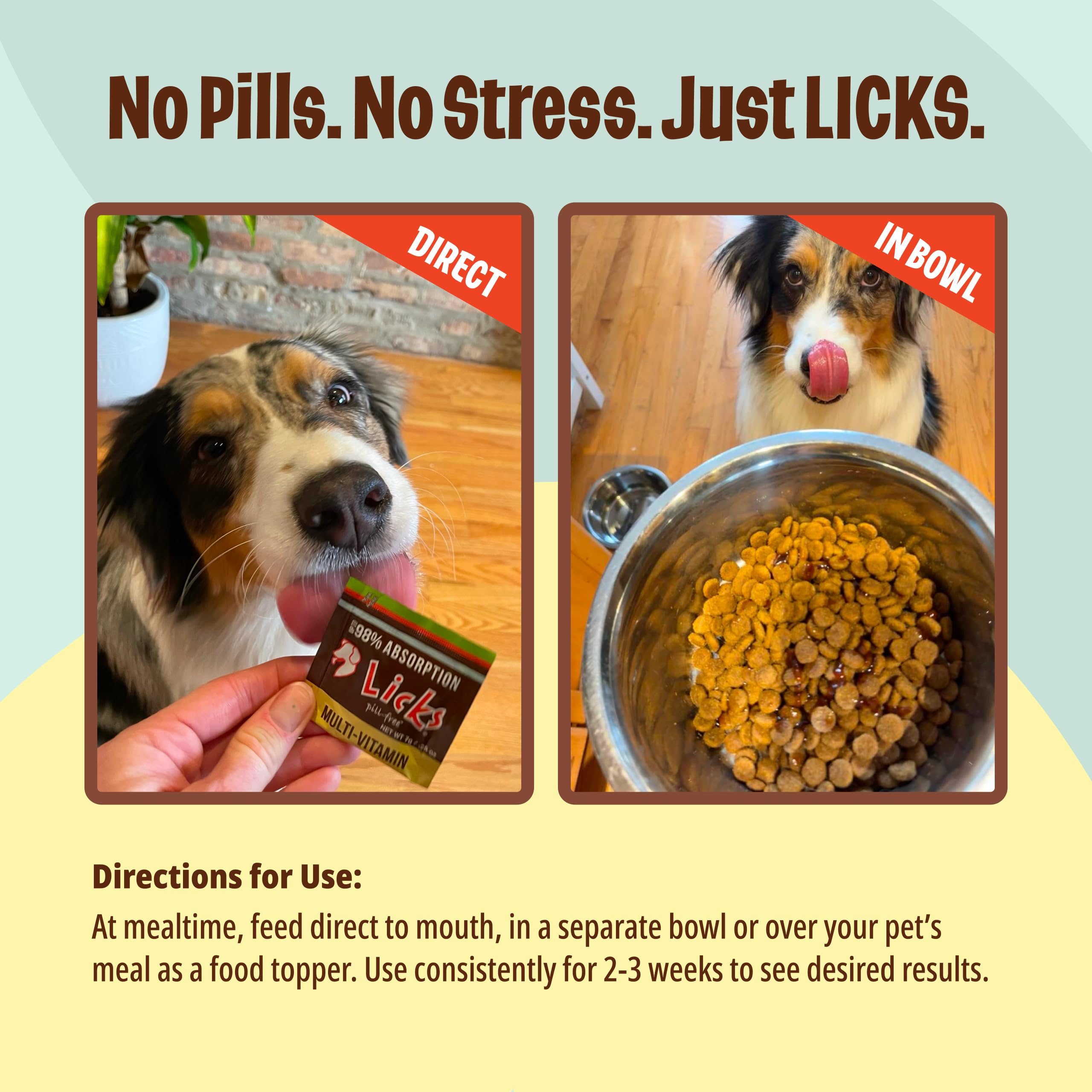 Licks Pill Free pet owner with packs demonstrating easy administration for dogs.