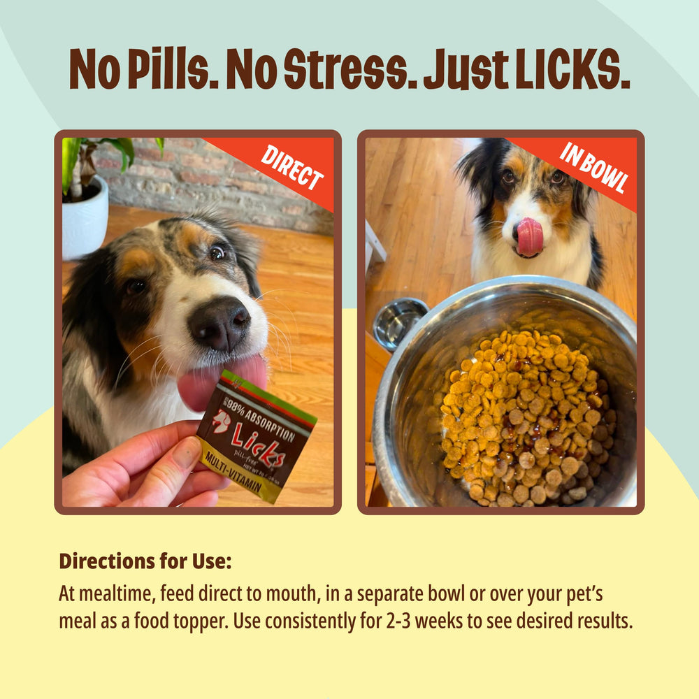 Licks Pill Free pet owner with packs demonstrating easy administration for dogs.