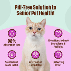 Licks Pill Free Senior Cat immunity vitamins liquid packet signaling immune support in a tasty lick.