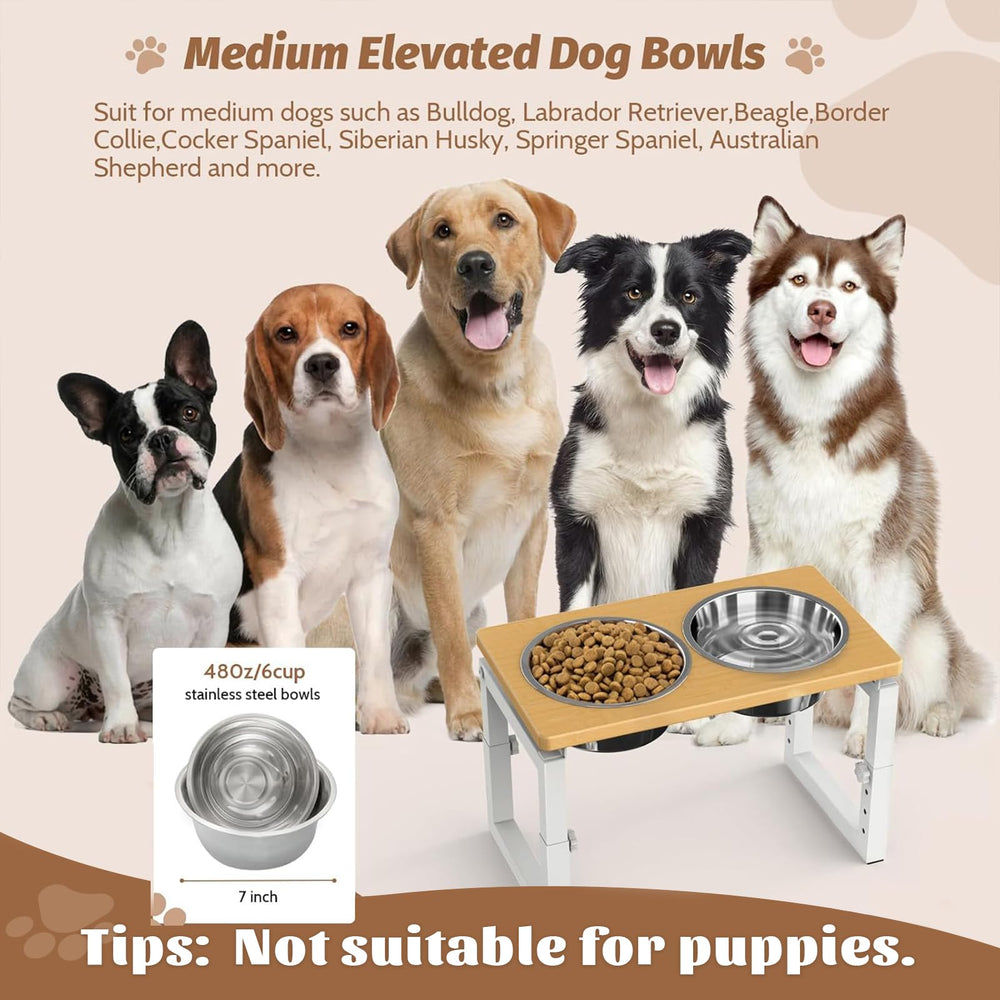 LIDTOP elevated dog bowls dishwasher-safe bowls resist stains and odors.
