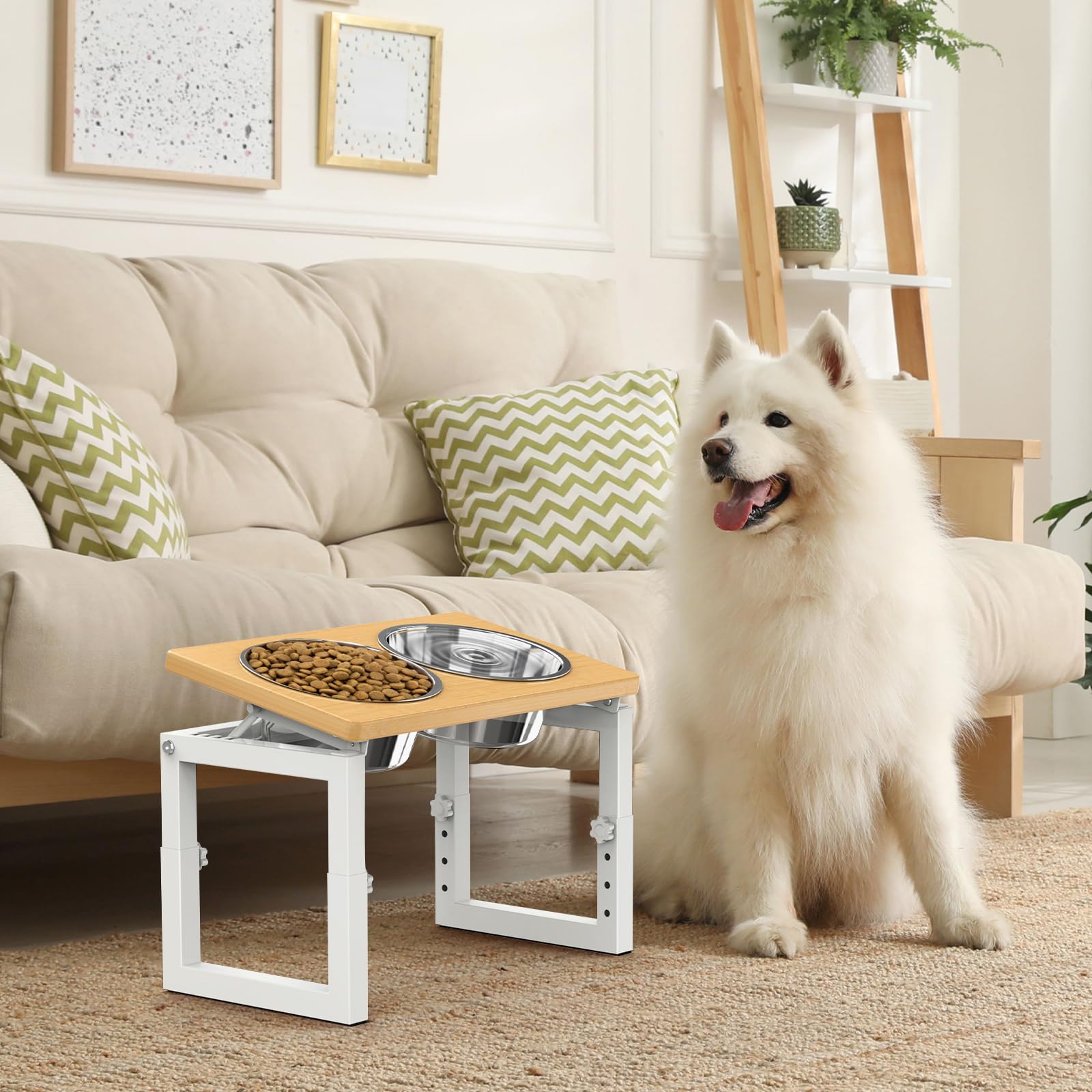 LIDTOP elevated dog bowls removable 2x 48oz bowls for easy cleaning.