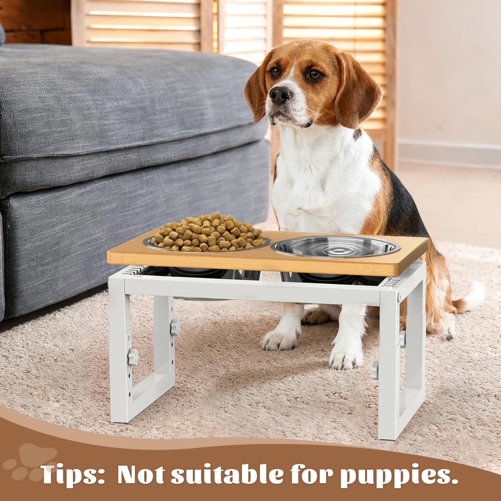LIDTOP elevated dog bowls white design complements modern kitchens.