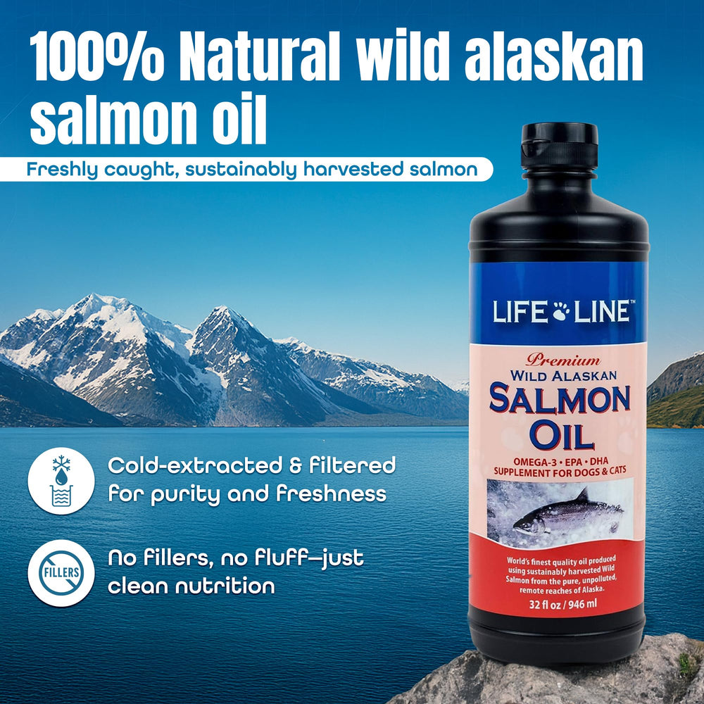 Life Line Salmon Oil for Pets beside a cat highlighting skin comfort and softer fur
