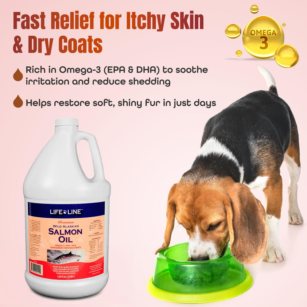 Life Line Wild Alaskan Salmon Oil for dogs showcases a glossy coat and healthier skin