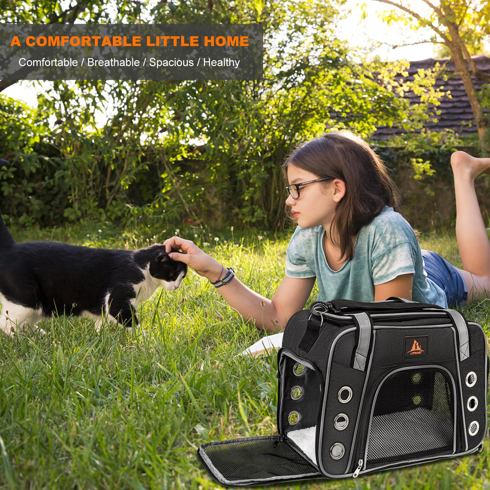 Lifeand cat carrier airline-approved tag for compliant air travel