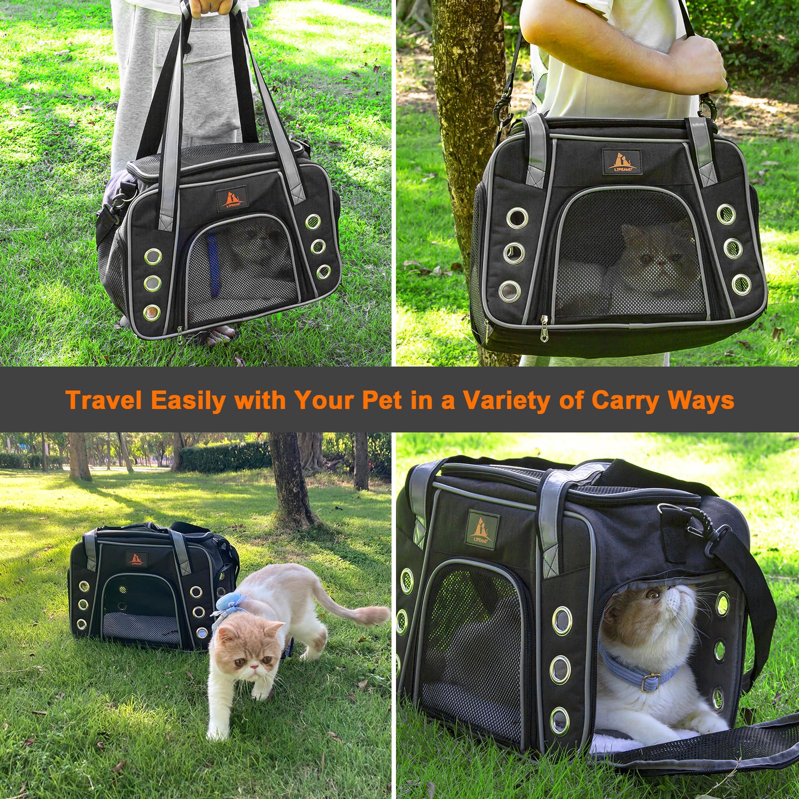 Lifeand cat carrier foldable design for easy storage