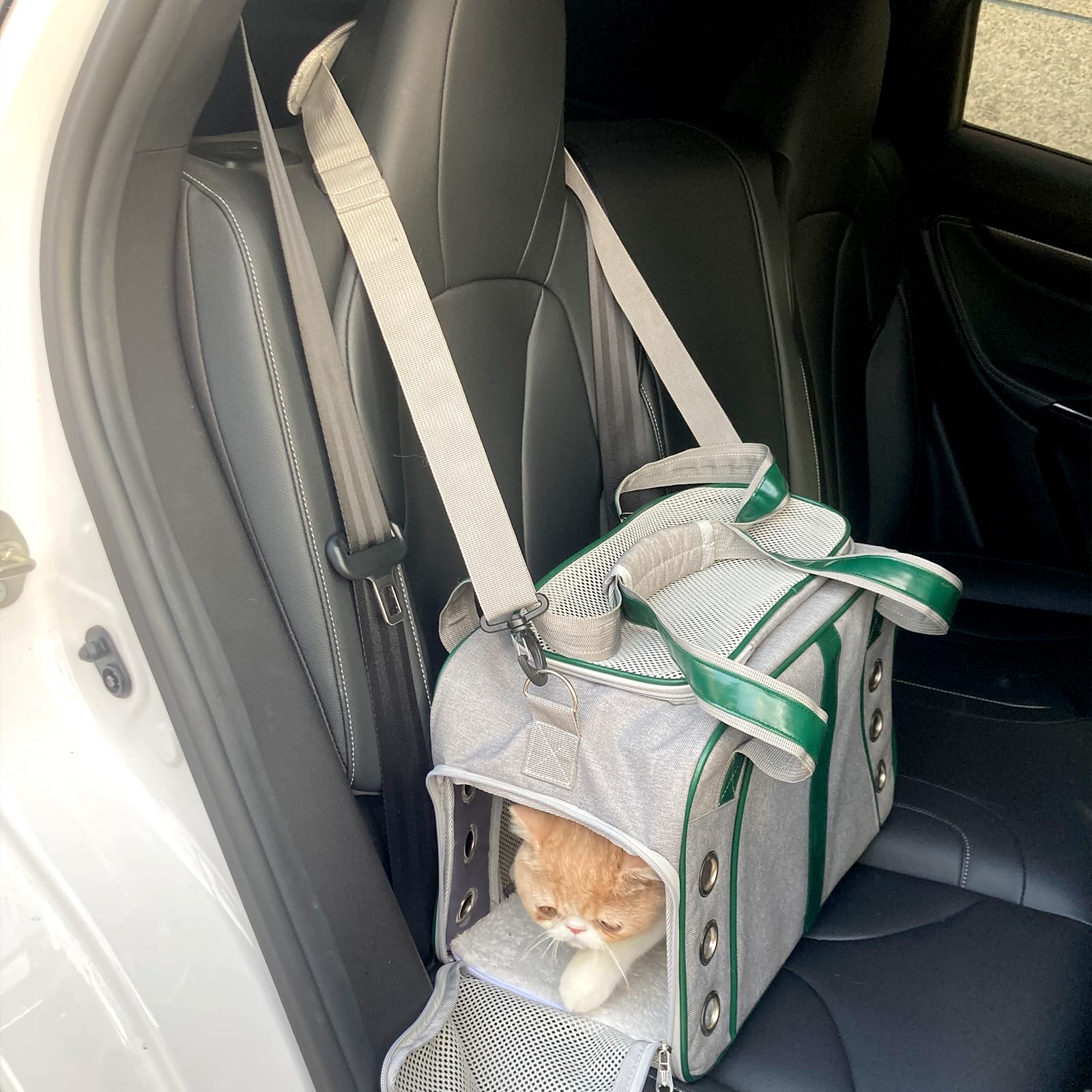 Lifeand cat carrier soft cushion inside for pet comfort during journeys