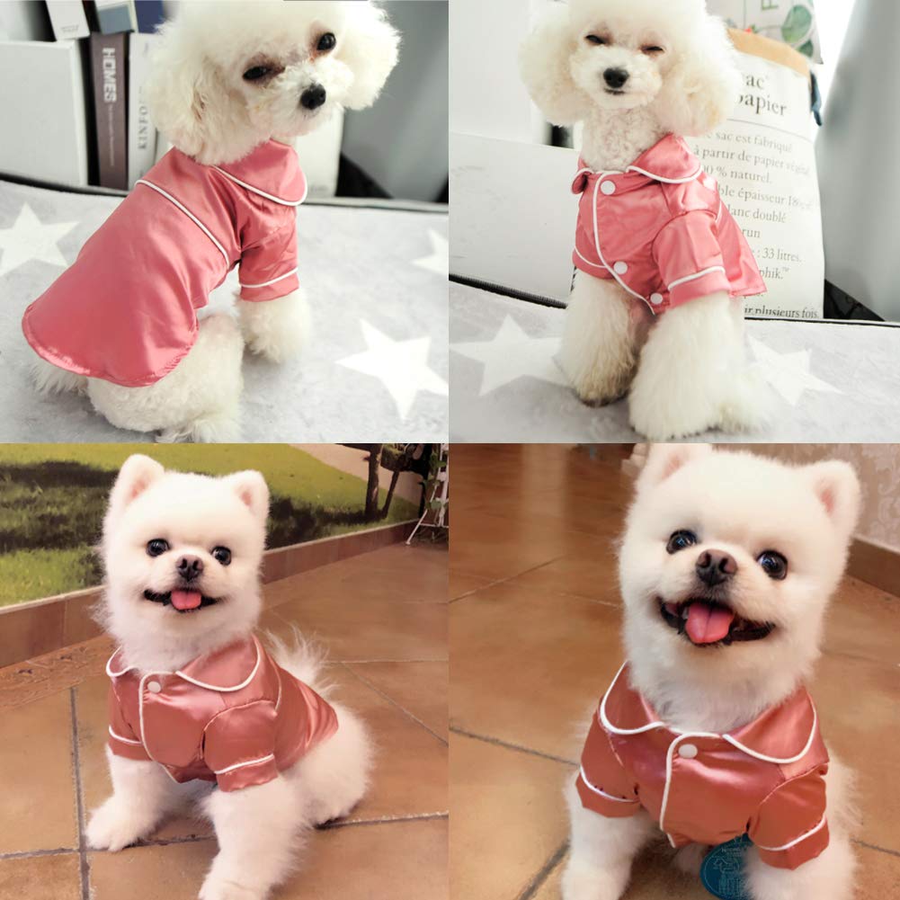 Lifeunion wearable shot; dogs and cats enjoying cozy home wear.