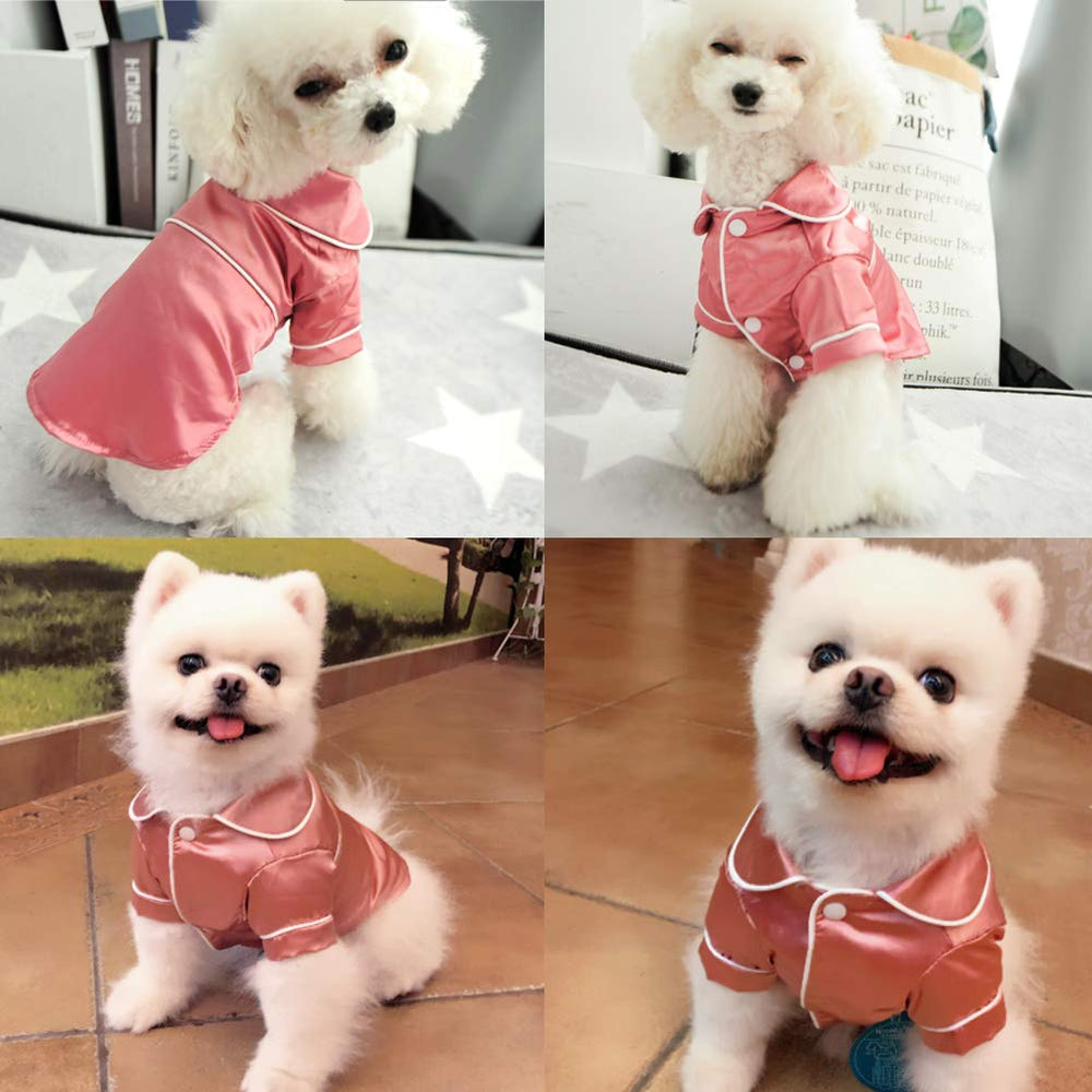 Lifeunion wearable shot; dogs and cats enjoying cozy home wear.