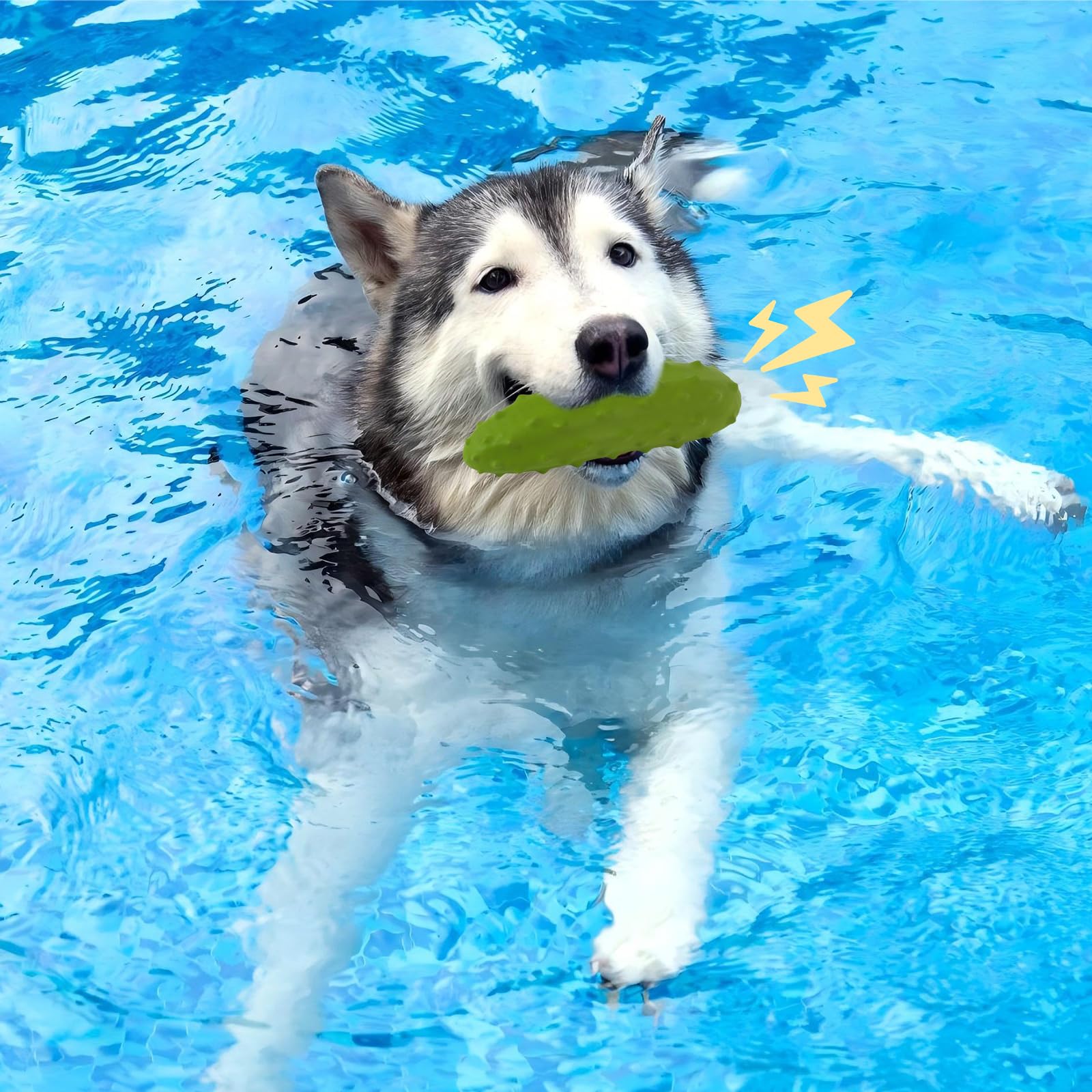 LIFLIX safe, non-toxic material supports confident daily chewing