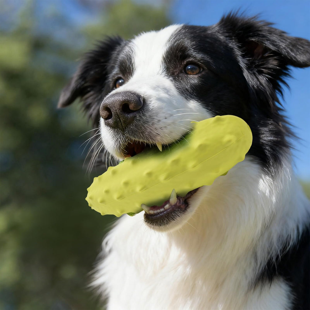 LIFLIX satisfaction-guarantee dog toy shows a 30-day replacement option.