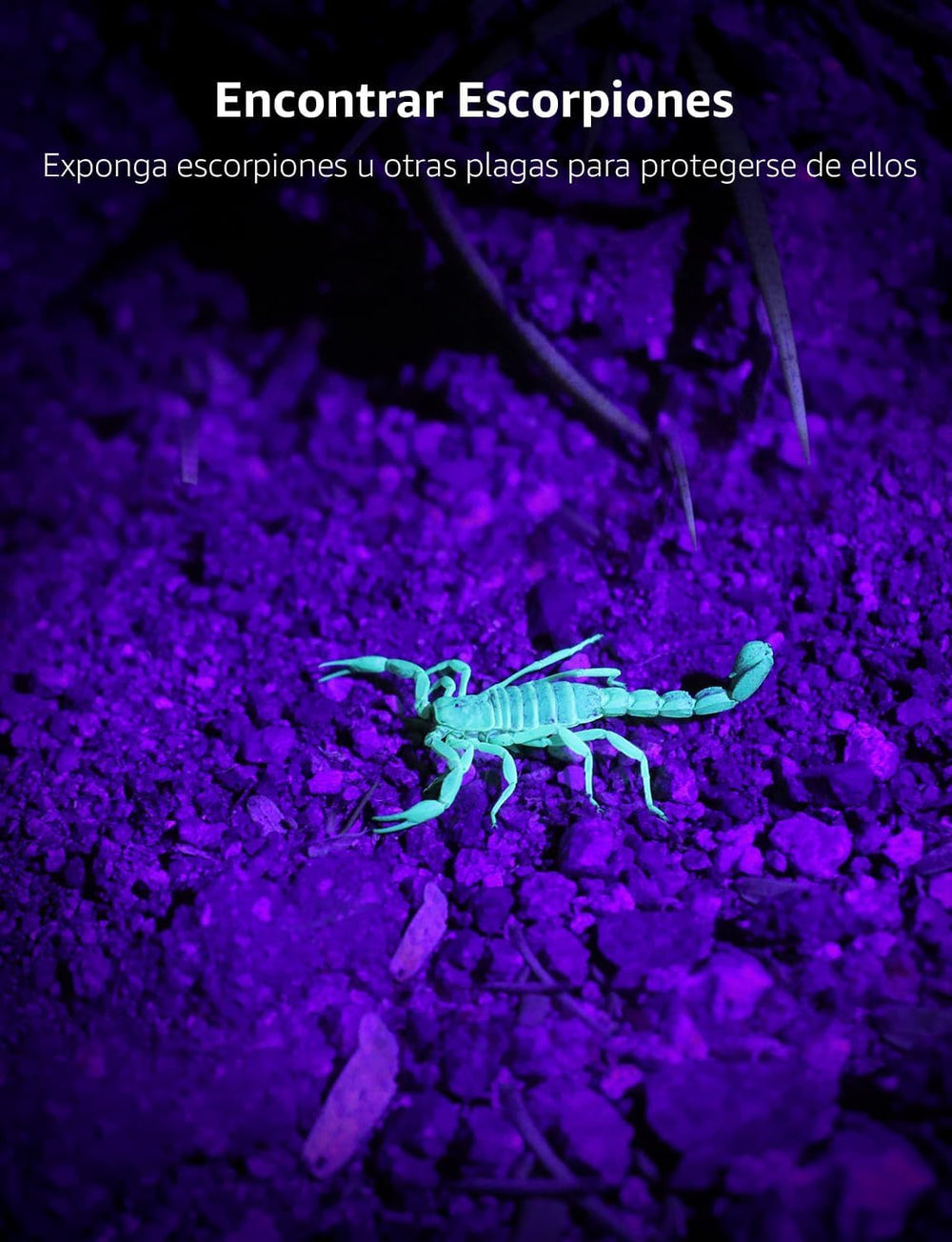 Lighting EVER LE Small UV 395nm, útil para tinta invisible en documentos y objetos.