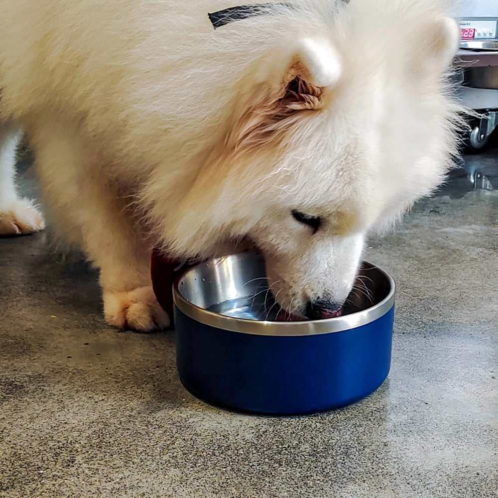 LIHOOOOM two-size options fit large and small dogs