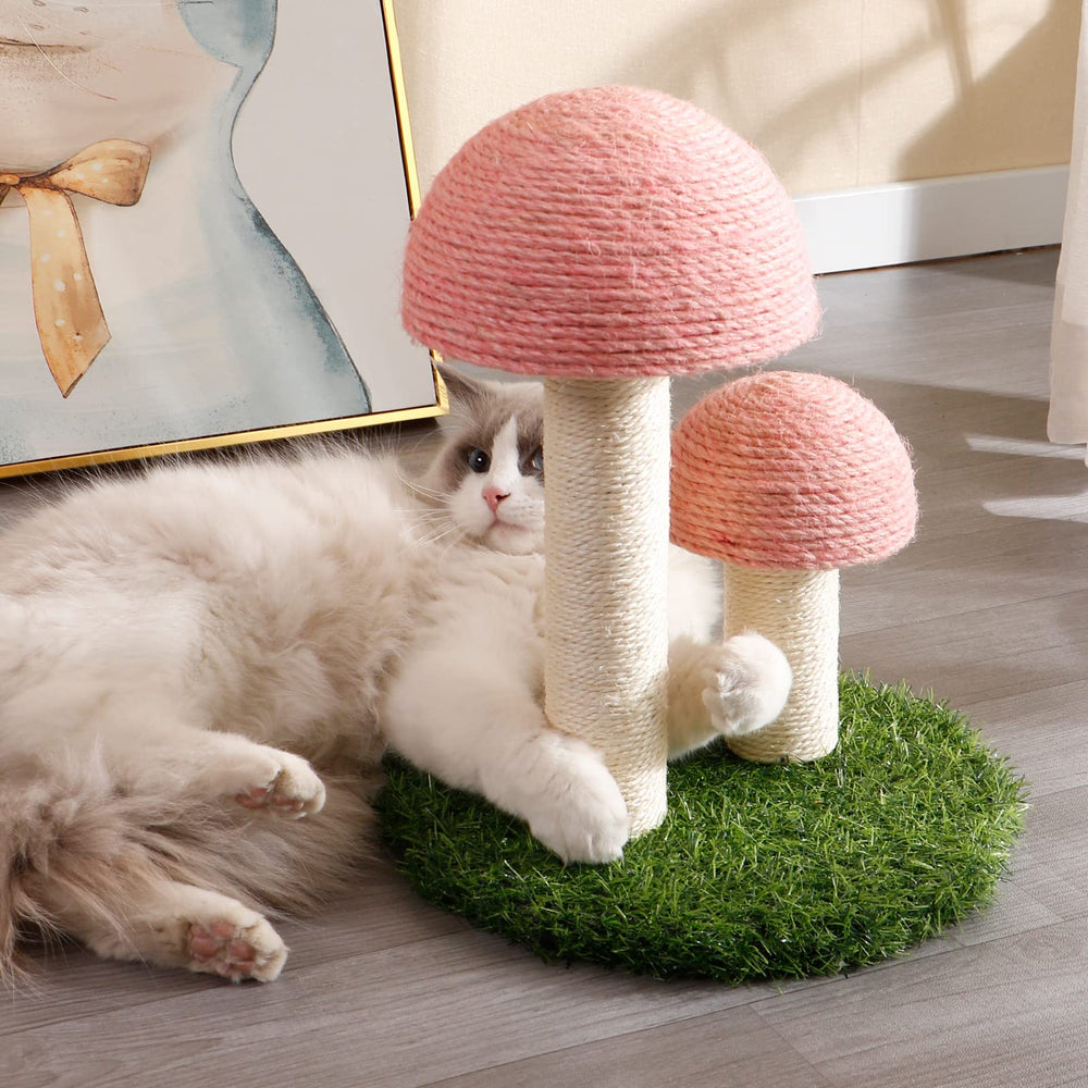 Lihaobm Mushroom design attracts cats for scratching and play.