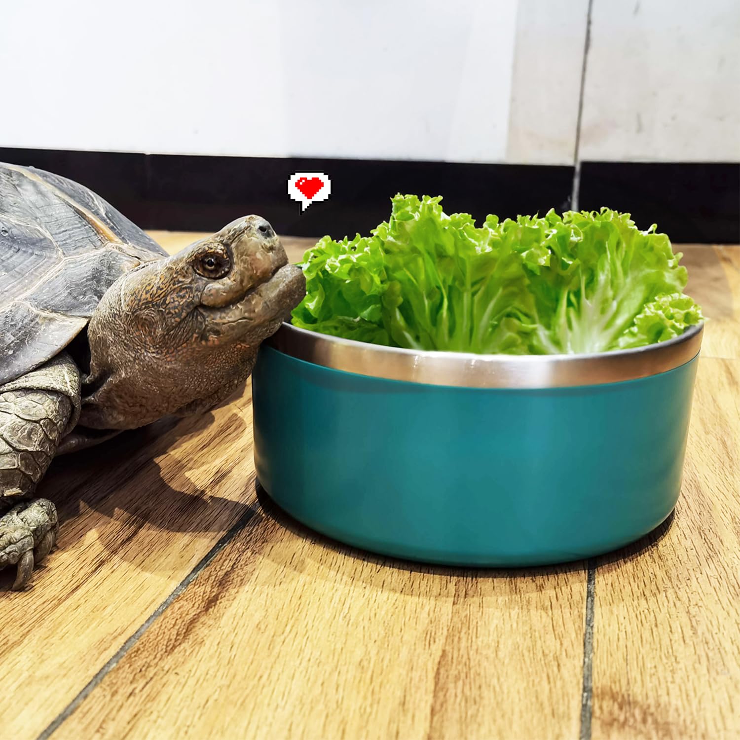 LIHONG 40oz-64oz capacity choices suit single or multiple-pet households.