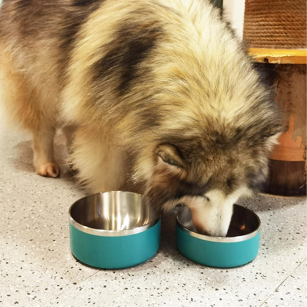 LIHONG eco-friendly food-grade materials support healthy pet feeding