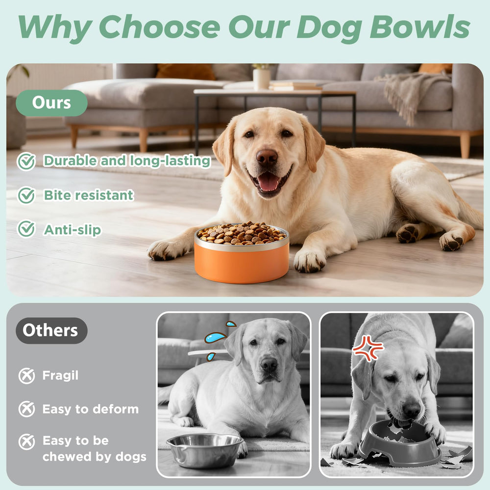 LIHONG dog bowl with non-slip bottom keeps meals steady