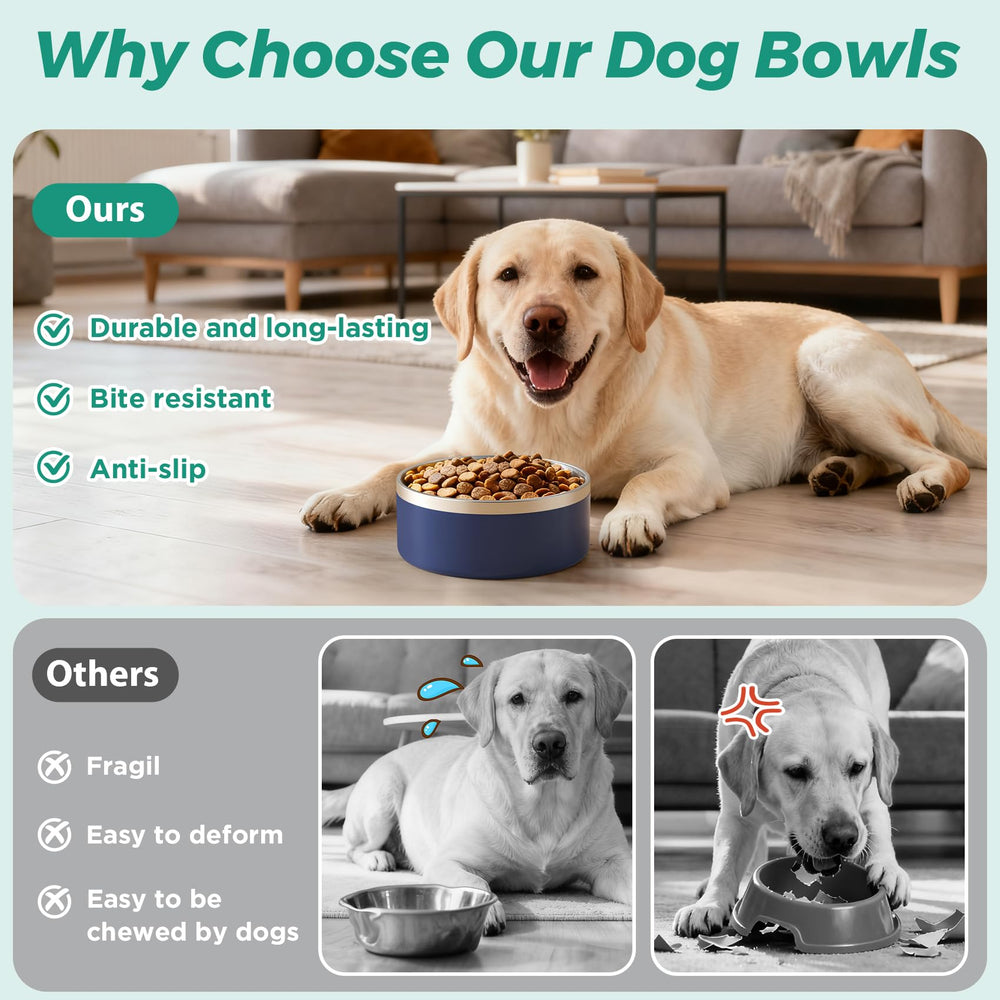 LIHONG dog bowl with non-slip bottom, preventing spills during meals.