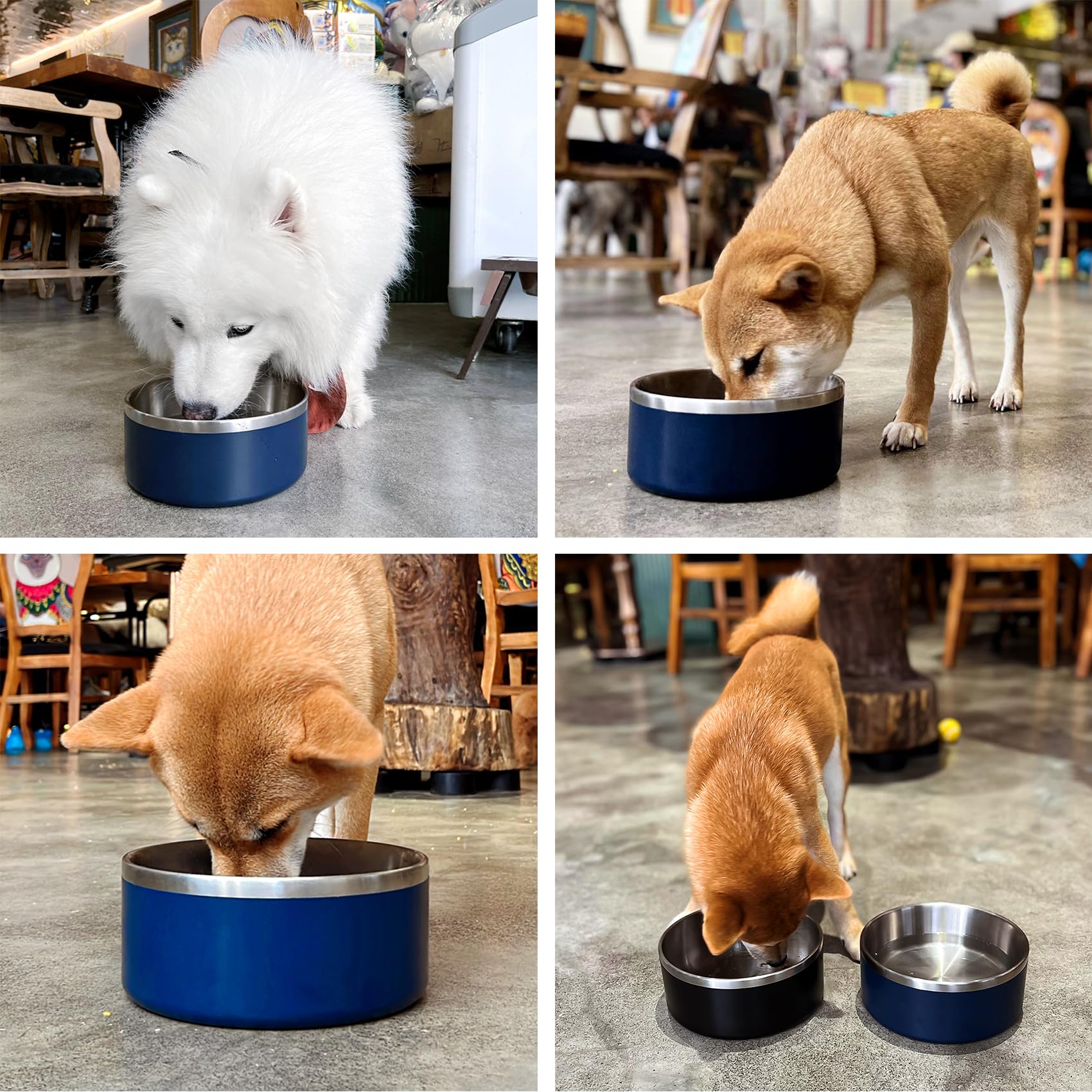 LIHONG vacuum-insulated design keeps water cooler longer for thirsty dogs.
