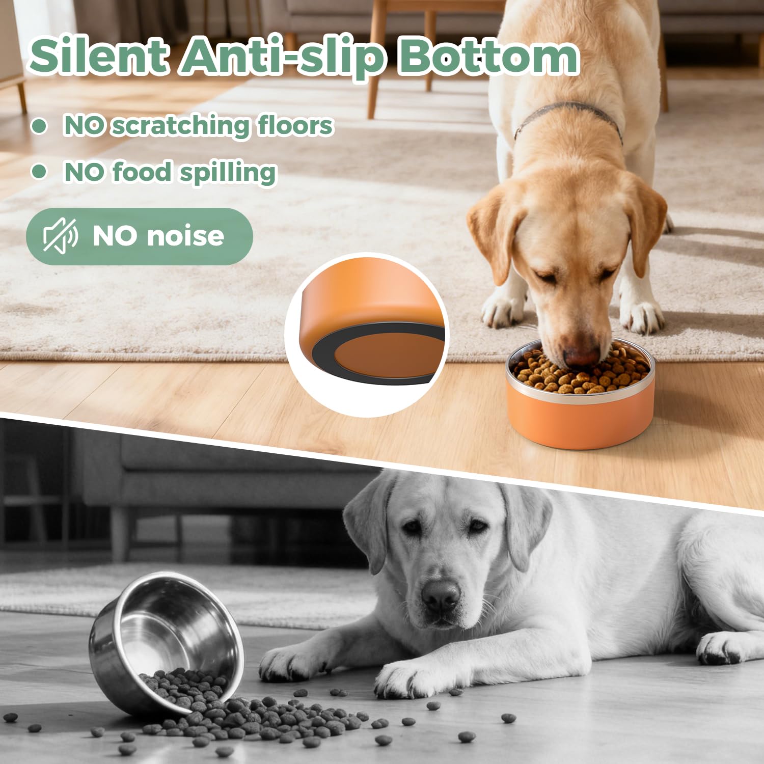 LIHONG double-wall insulated bowl keeps water cool longer