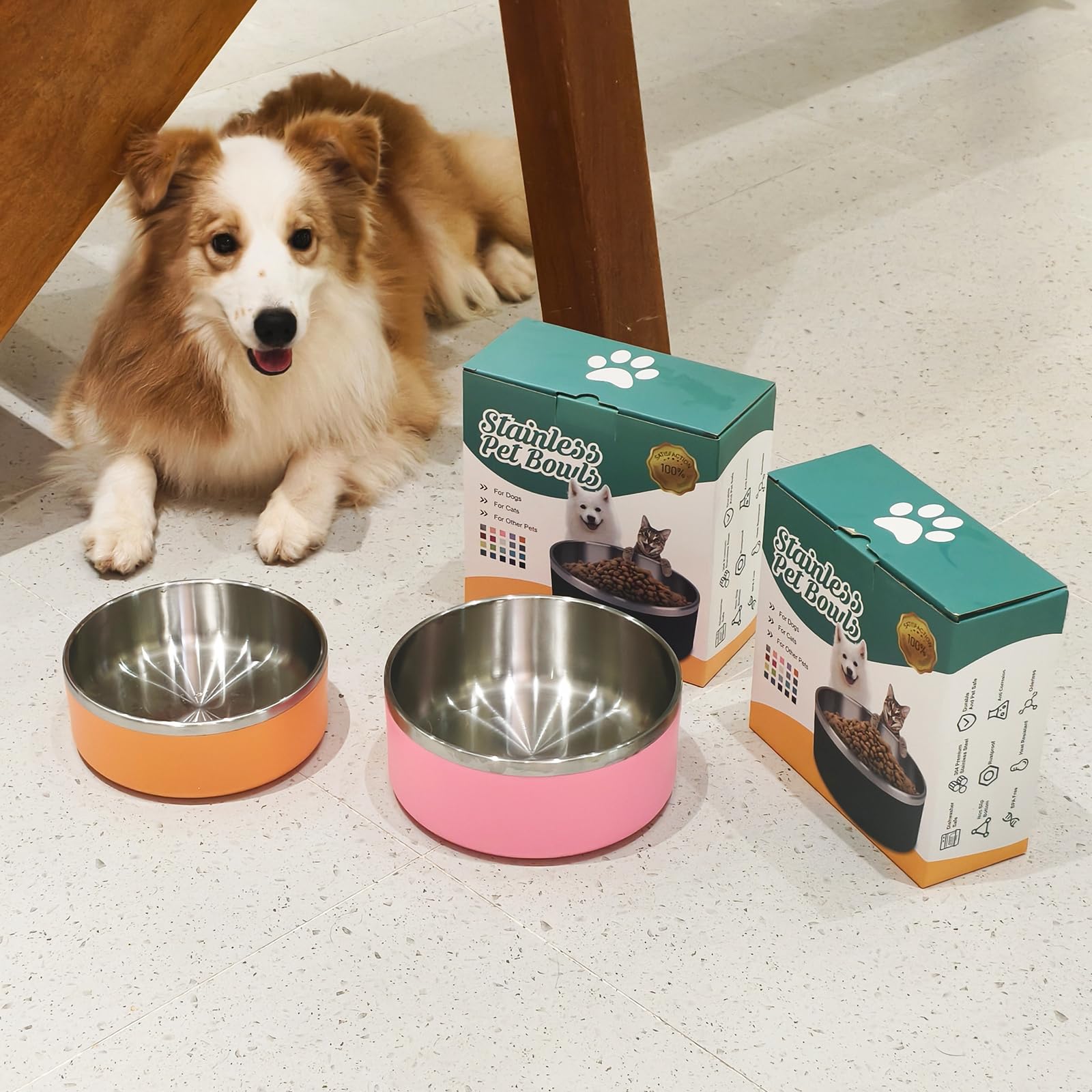LIHONG small-to-medium dogs food and water bowls shown for versatile use.