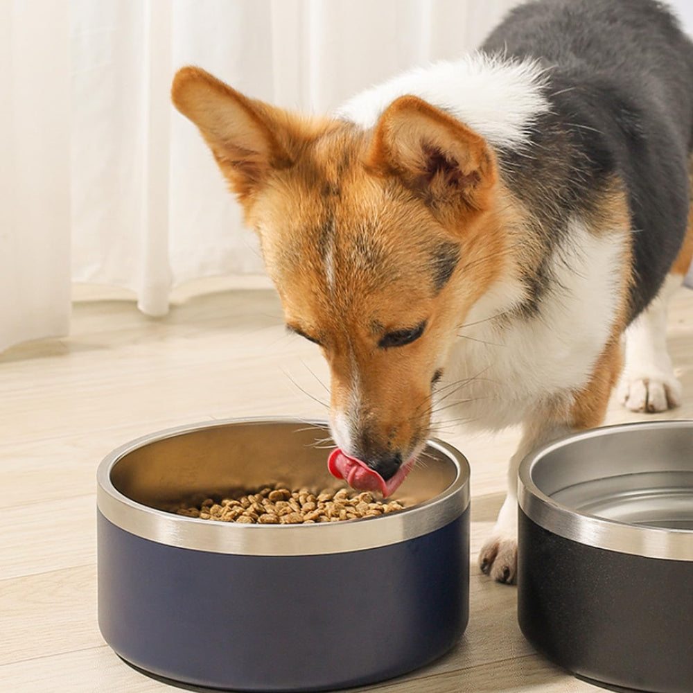 LIHONG 64oz option demonstrates high-capacity feeding for multi-pet homes.