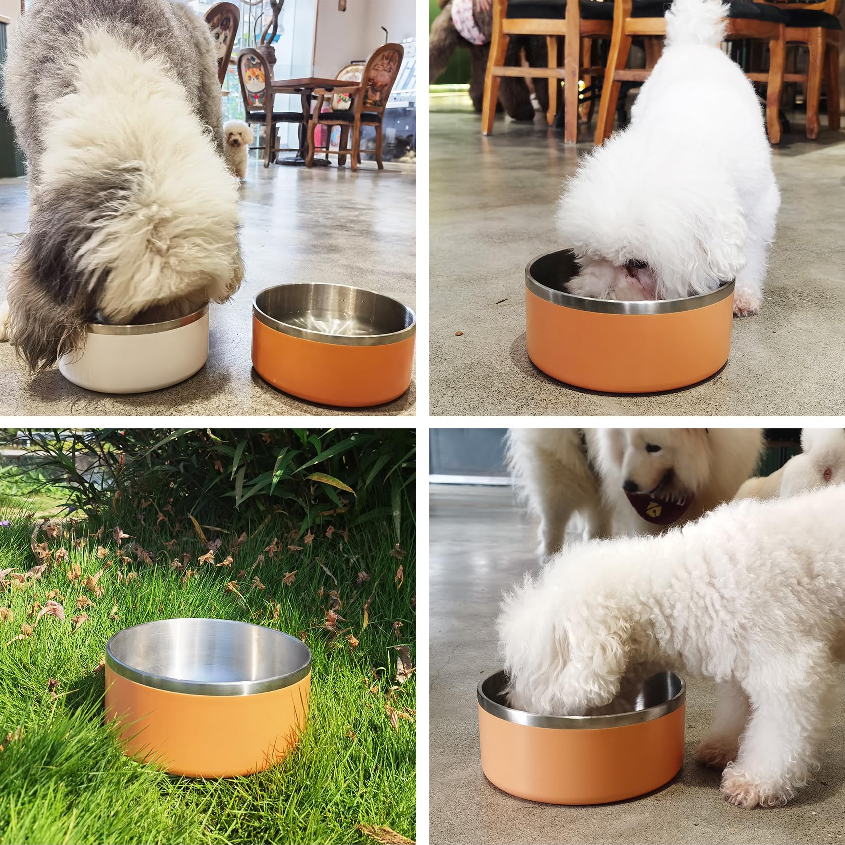 LIHONG versatile design supports water or food for pets