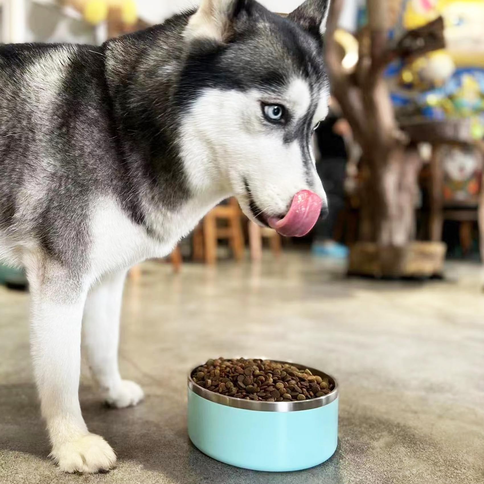 LIHOOOOM large-capacity bowl holds 2200 ml water and 980 g food.