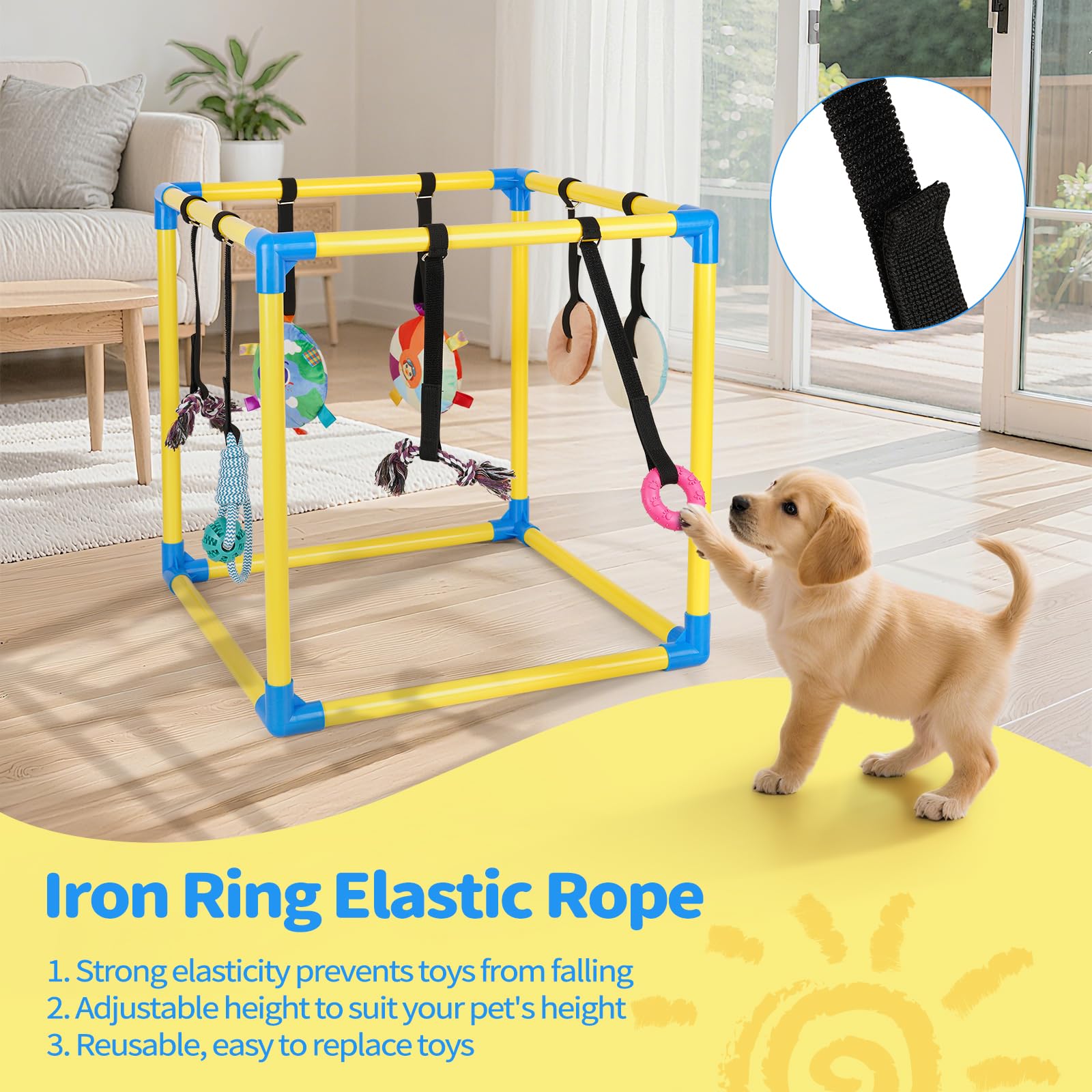 Liitrton puppy play gym in room setup emphasizes space-saving design