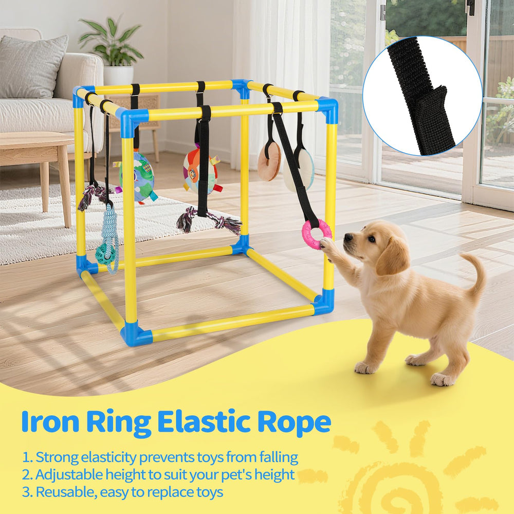 Liitrton puppy play gym in room setup emphasizes space-saving design