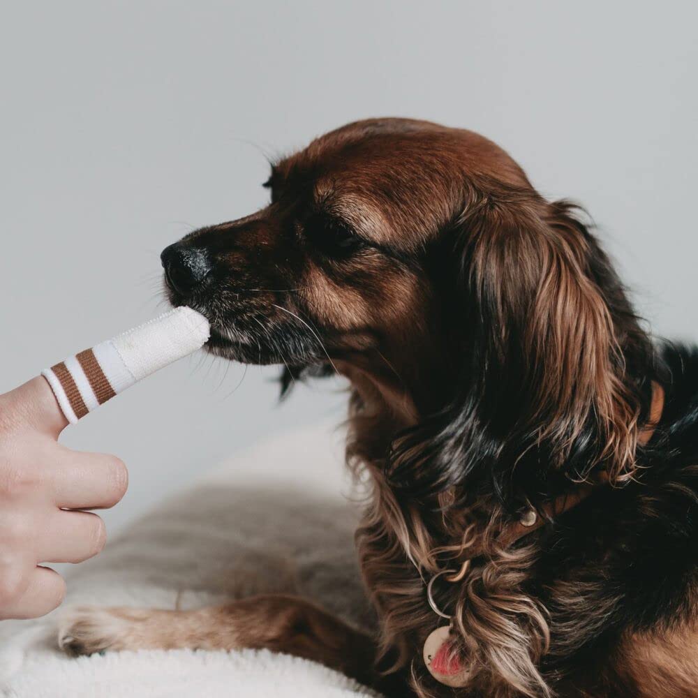 LILA LOVES IT pressure-control feature image underscores precise dental care with controlled contact.