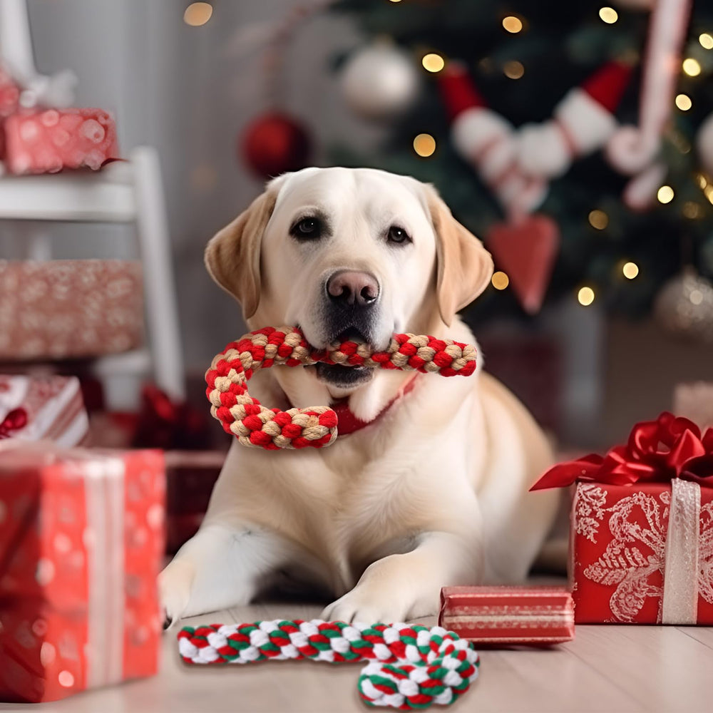 Liliful Christmas toy gift set provides festive play and bonding moments.