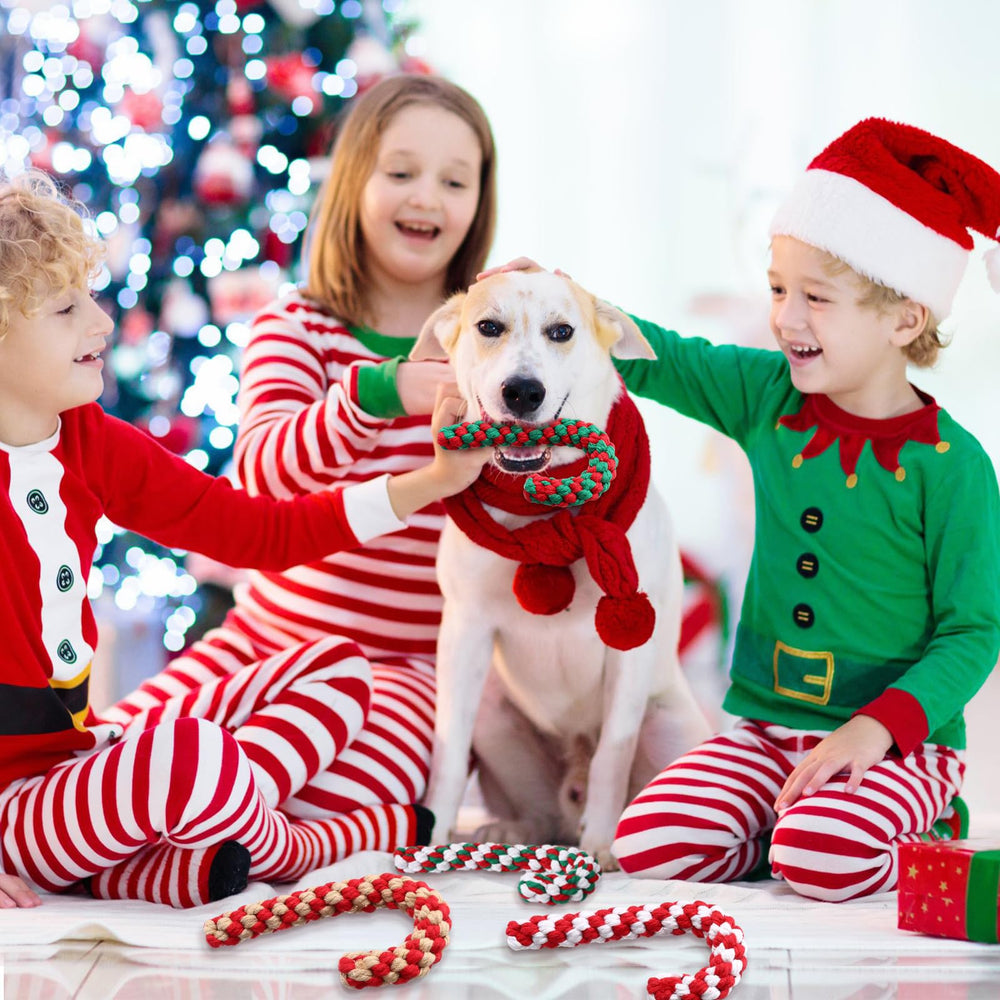 Liliful four-color Christmas rope toy pack for color variety and long-lasting play.
