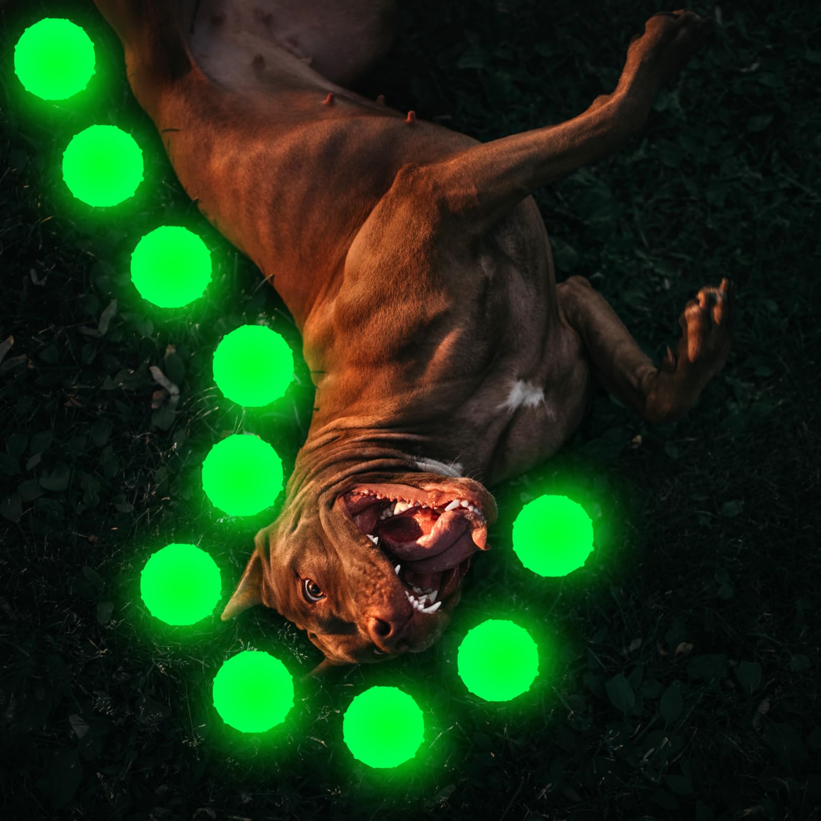 Liliful glow dog balls in play, showing durable rubber during rough chews.