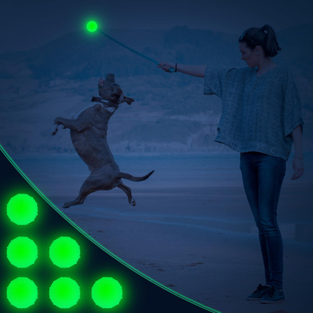 Liliful glow dog balls with net bag storage for convenient portability.