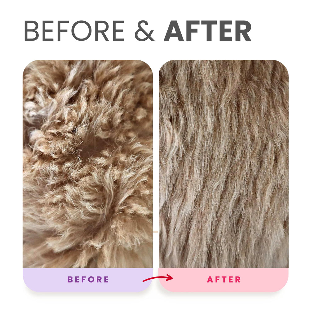 Lillian Ruff PRO coat-brilliance closeup after bath highlights brighter fur.