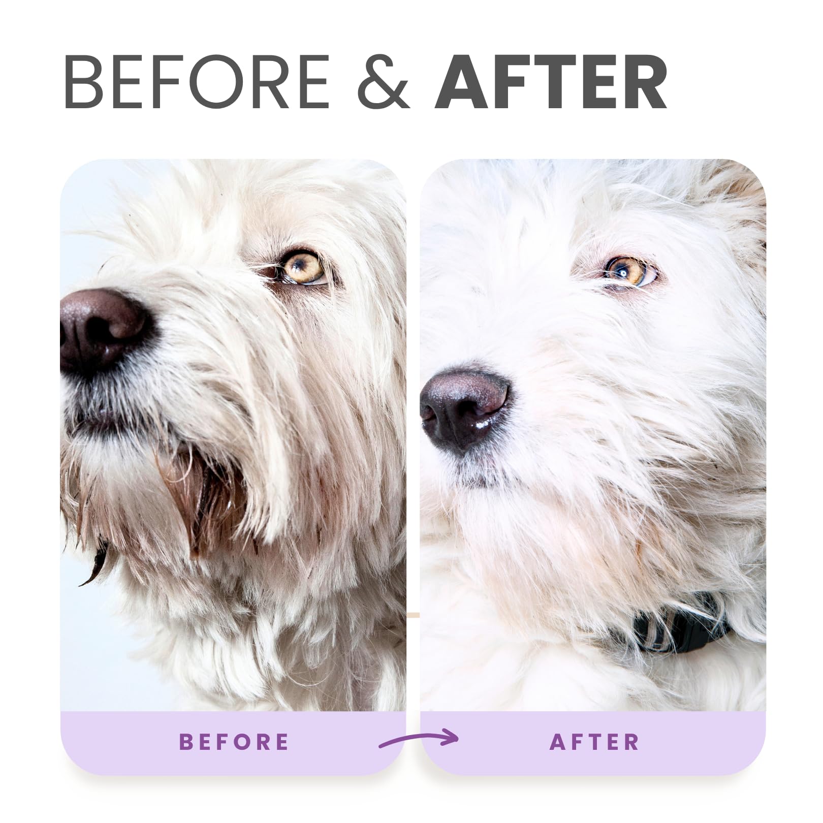 Lillian Ruff PRO formula all-coat-colors representation shows vibrant results on every fur color