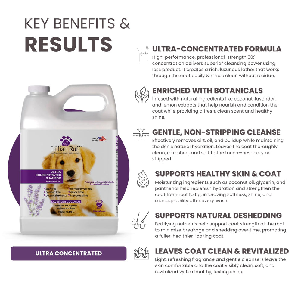 Lillian Ruff PRO soft lather demonstrates gentle cleansing for dogs