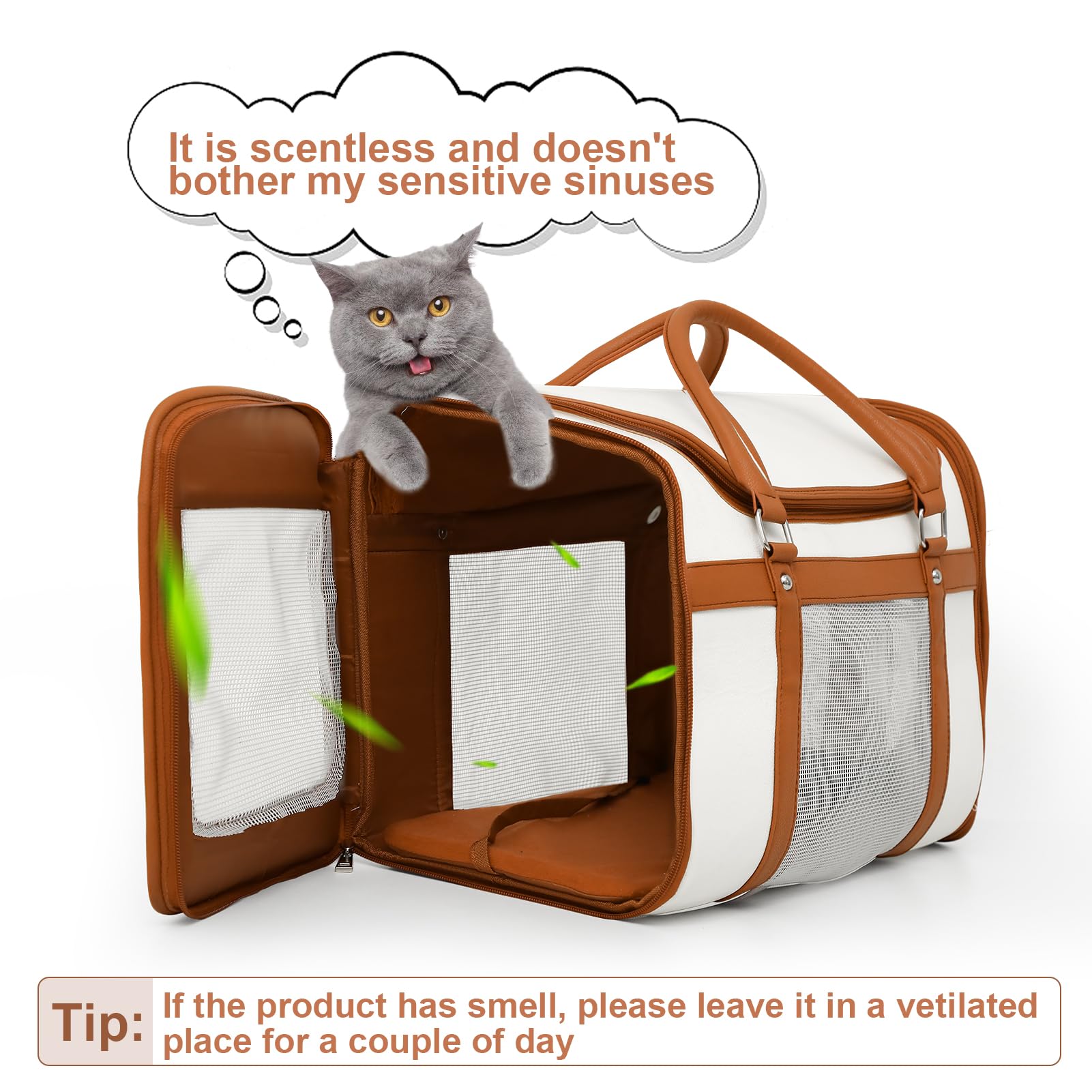 Lilliella travel scenario with a pet during everyday outings.